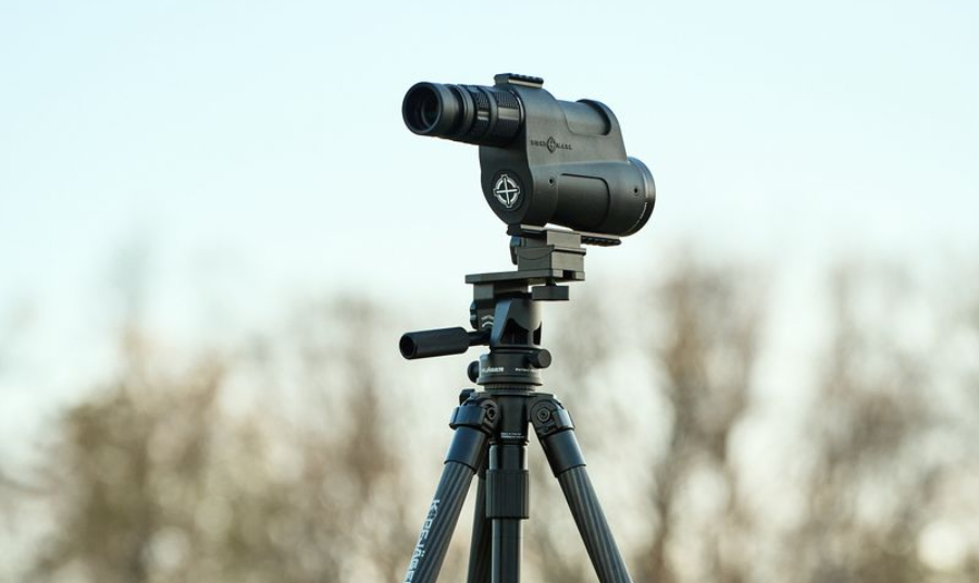 How Wildlife Photography Keeps Hunters Sharp in the Off-Season